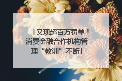 又现超百万罚单！消费金融合作机构管理“教训”不断
