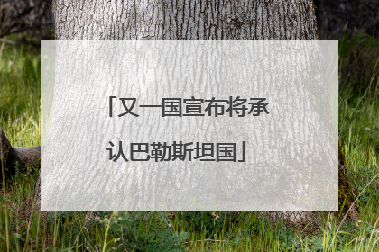 又一国宣布将承认巴勒斯坦国