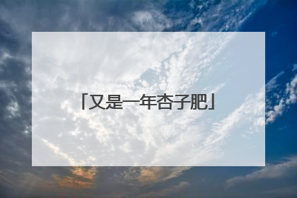 又是一年杏子肥
