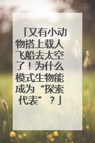 又有小动物搭上载人飞船去太空了！为什么模式生物能成为“探索代表”？