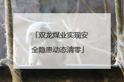 双龙煤业实现安全隐患动态清零