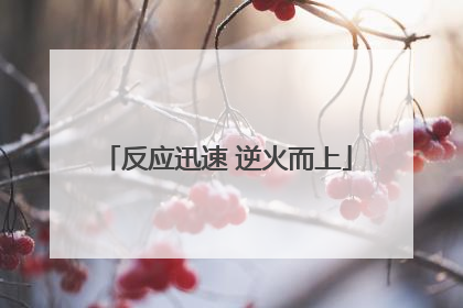 反应迅速 逆火而上