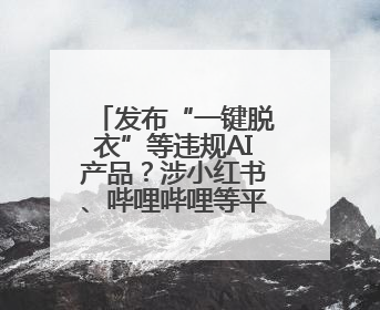 发布“一键脱衣”等违规AI产品？涉小红书、哔哩哔哩等平台！上海出手