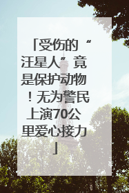 受伤的“汪星人”竟是保护动物！无为警民上演70公里爱心接力