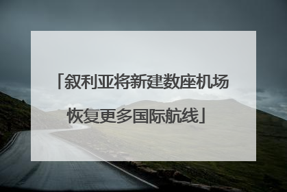叙利亚将新建数座机场 恢复更多国际航线