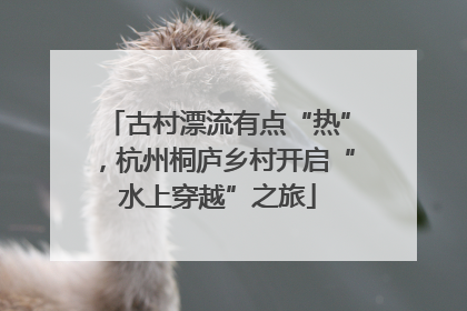 古村漂流有点“热”，杭州桐庐乡村开启“水上穿越”之旅