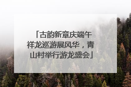 古韵新章庆端午 祥龙巡游展风华，青山村举行游龙盛会