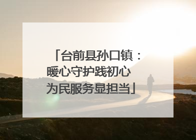 台前县孙口镇：暖心守护践初心 为民服务显担当