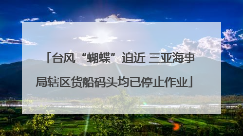 台风“蝴蝶”迫近 三亚海事局辖区货船码头均已停止作业