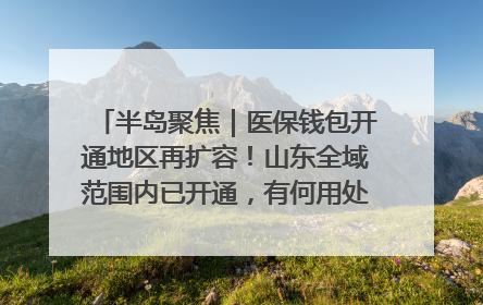 半岛聚焦｜医保钱包开通地区再扩容！山东全域范围内已开通，有何用处？如何操作？速戳→