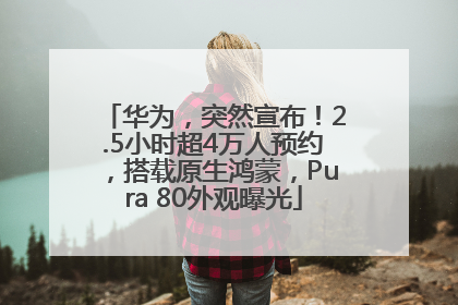 华为，突然宣布！2.5小时超4万人预约，搭载原生鸿蒙，Pura 80外观曝光