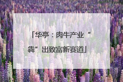 华亭：肉牛产业“犇”出致富新赛道