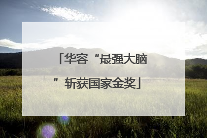 华容“最强大脑”斩获国家金奖