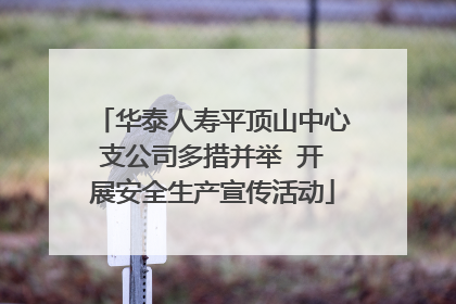 华泰人寿平顶山中心支公司多措并举  开展安全生产宣传活动