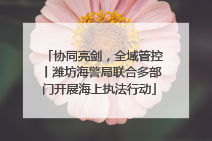 协同亮剑，全域管控丨潍坊海警局联合多部门开展海上执法行动