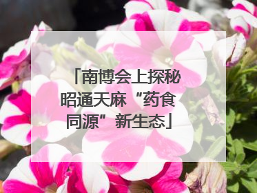 南博会上探秘昭通天麻“药食同源”新生态