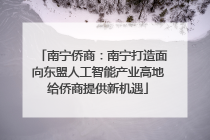 南宁侨商：南宁打造面向东盟人工智能产业高地给侨商提供新机遇