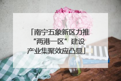 南宁五象新区力推“两港一区”建设 产业集聚效应凸显