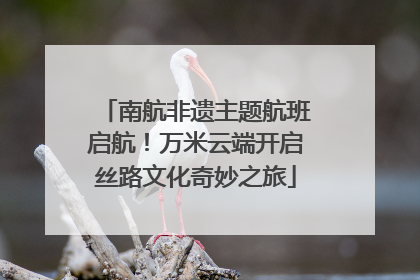 南航非遗主题航班启航！万米云端开启丝路文化奇妙之旅