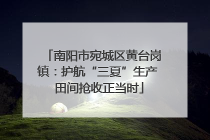 南阳市宛城区黄台岗镇：护航“三夏”生产 田间抢收正当时