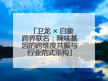 卫龙 × 白象跨界联名：辣味基因的跨维度共振与行业范式重构
