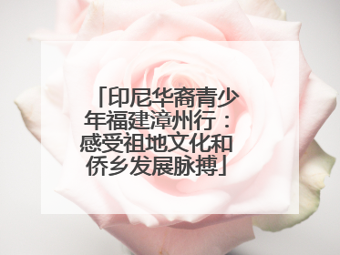 印尼华裔青少年福建漳州行：感受祖地文化和侨乡发展脉搏