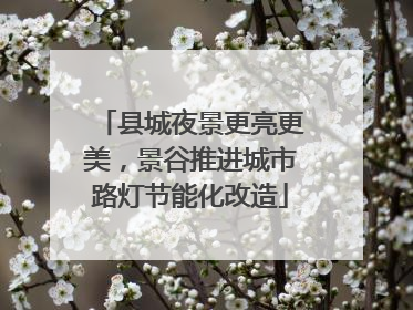 县城夜景更亮更美，景谷推进城市路灯节能化改造