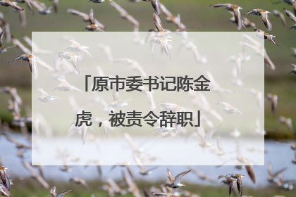 原市委书记陈金虎，被责令辞职