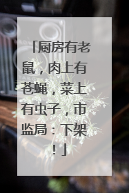 厨房有老鼠,肉上有苍蝇,菜上有虫子,市监局:下架!