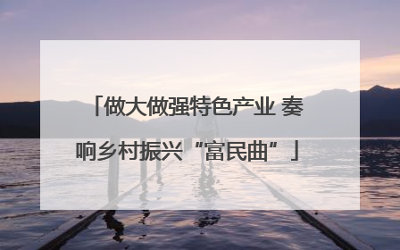 做大做强特色产业 奏响乡村振兴“富民曲”