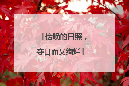 傍晚的日照，夺目而又绚烂