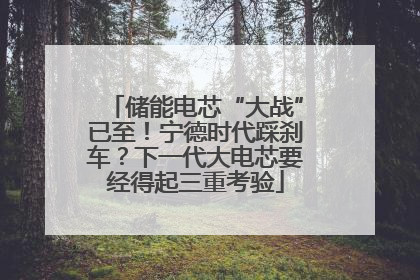 储能电芯“大战”已至！宁德时代踩刹车？下一代大电芯要经得起三重考验