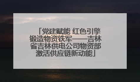 党建赋能 红色引擎锻造物资铁军——吉林省吉林供电公司物资部激活供应链新动能