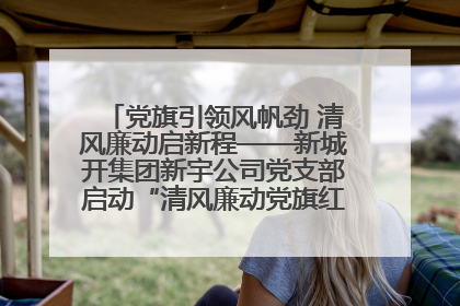 党旗引领风帆劲 清风廉动启新程——新城开集团新宇公司党支部启动“清风廉动党旗红”系列活动