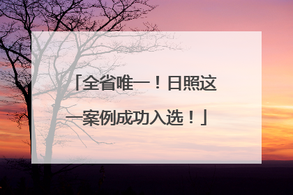 全省唯一！日照这一案例成功入选！