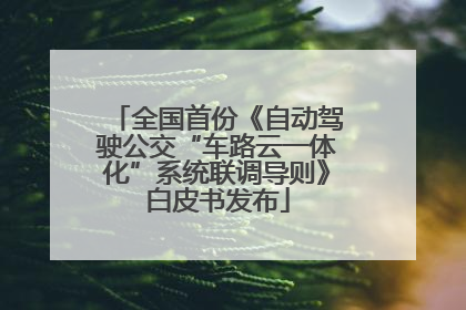 全国首份《自动驾驶公交“车路云一体化”系统联调导则》白皮书发布