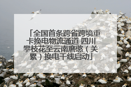 全国首条跨省跨境重卡换电物流通道 四川攀枝花至云南磨憨（关累）换电干线启动