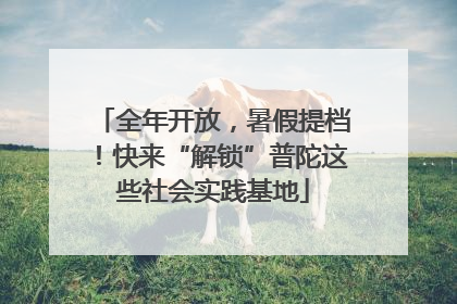 全年开放，暑假提档！快来“解锁”普陀这些社会实践基地