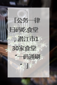 公务一律扫码吃食堂，潜江市130家食堂“一码通刷”