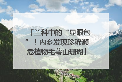 兰科中的“显眼包”！内乡发现珍稀濒危植物毛萼山珊瑚