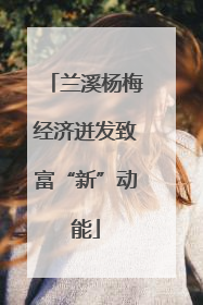兰溪杨梅经济迸发致富“新”动能