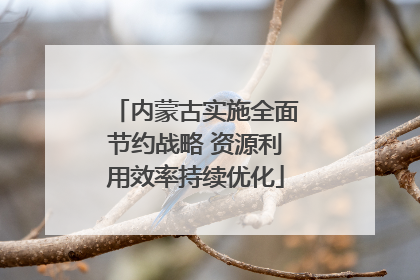 内蒙古实施全面节约战略 资源利用效率持续优化