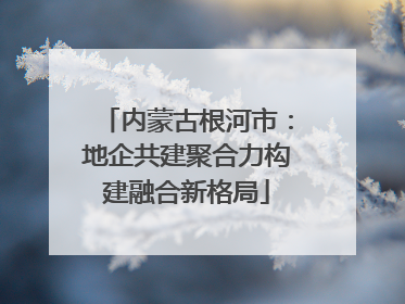 内蒙古根河市：地企共建聚合力构建融合新格局