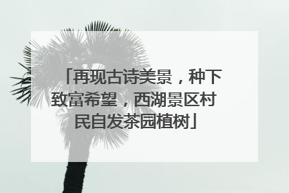 再现古诗美景，种下致富希望，西湖景区村民自发茶园植树
