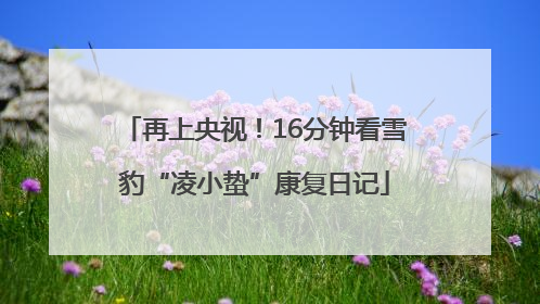 再上央视！16分钟看雪豹“凌小蛰”康复日记