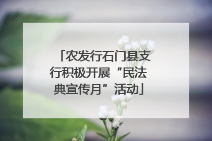 农发行石门县支行积极开展“民法典宣传月”活动