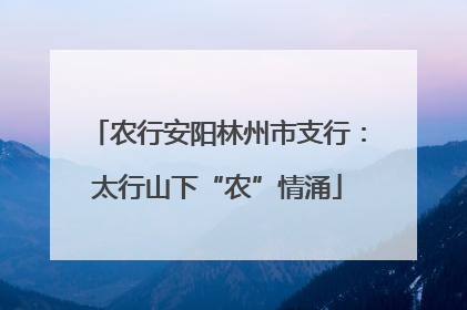 农行安阳林州市支行：太行山下“农”情涌