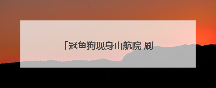 冠鱼狗现身山航院 刷新滨州市鸟类新纪录