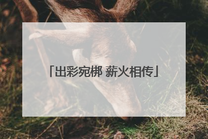 出彩宛梆 薪火相传