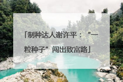 制种达人谢许平：“一粒种子”闯出致富路
